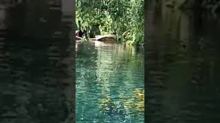 Download Lagu Uluna Tondano, The hidden paradise at Tondano, North Celebes - Indonesia. MP3