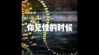 201508 你见性的时候25278