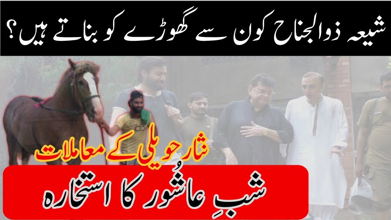 Shab e Ashur kis Zuljanah ka Istakhara Aya?||Kitnay Zuljanah Hain? Shia ghora kahan sai laitay hain?