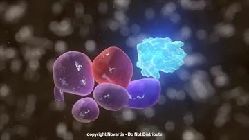 Hep C life cycle animation