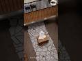 House @ Ja ela | interior design sri lanka | modern house design | minimalist interior | home design