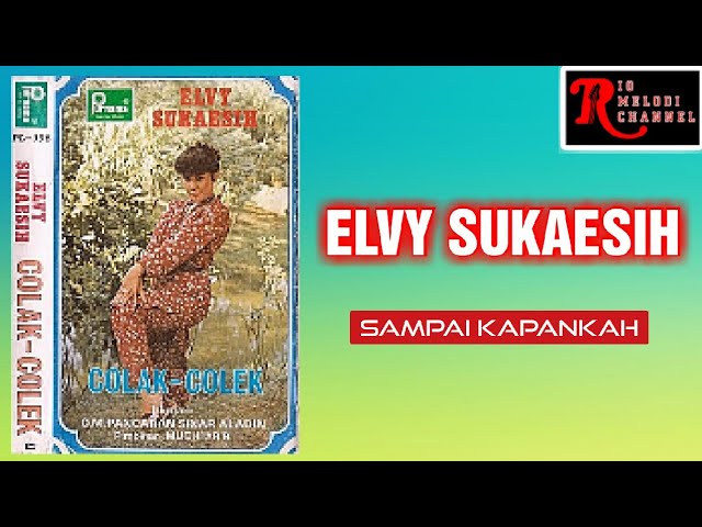 ELVY SUKAESIH - SAMPAI KAPANKAH | O.M. PANCARAN SINAR ALADIN class=