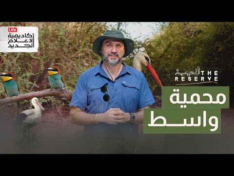 من مكب للنفايات إلى محمية مفعمة بالحياة المحمية