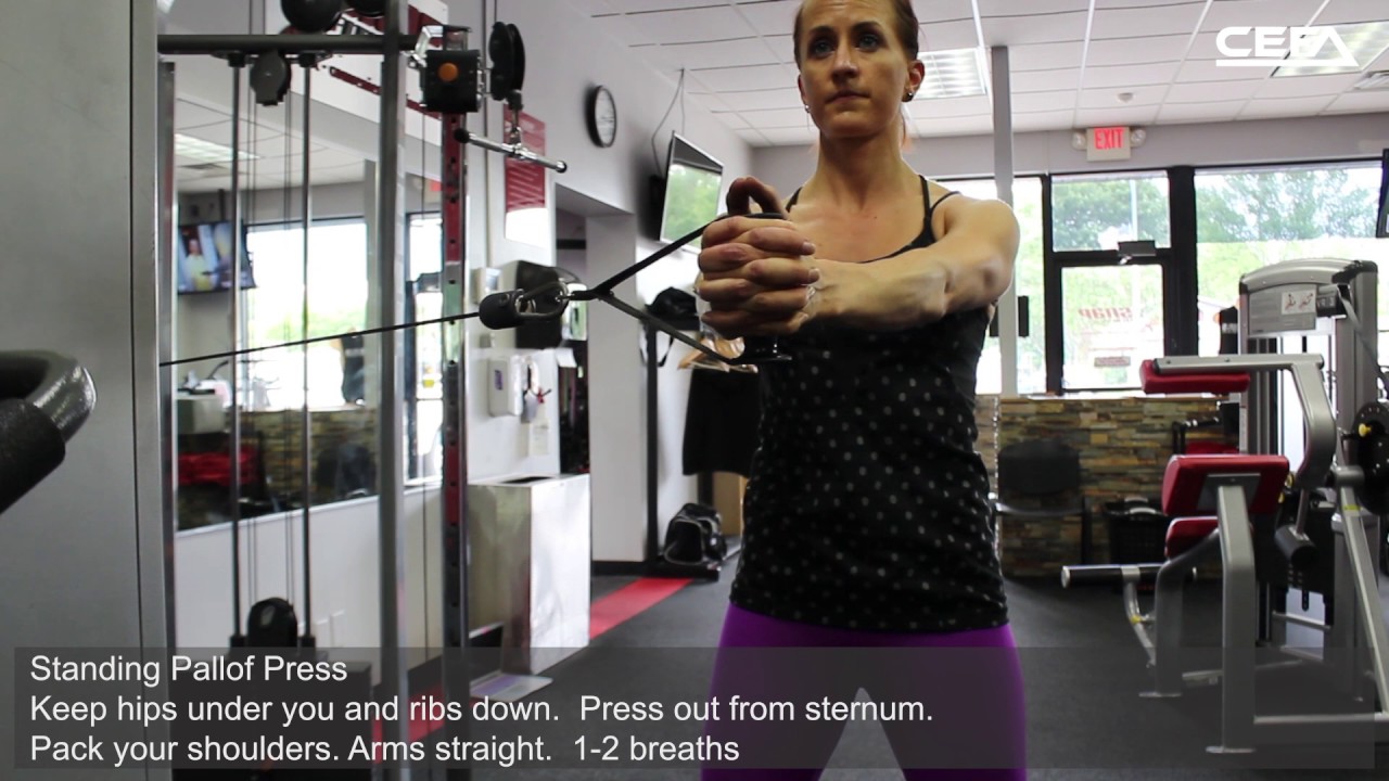 standing pallof press YouTube