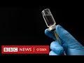 Яхши хабар, коронавирус: Вакцина иш берди O’zbekiston koronavirus дунё - BBC News O'zbek