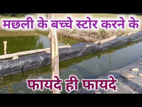 वीडियो: लाल कैवियार कैसे स्टोर करें?