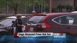 Dogs rescued from hot car at 72nd and Ames