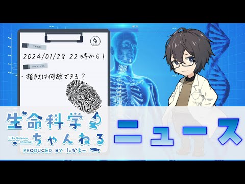 【生命科学ニュース】指紋はどうやってできる？【最新研究紹介】