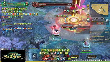 Tree of Savior Fedimian Support Guild Abyssal, Dreamy, Singularity 14/04/2025