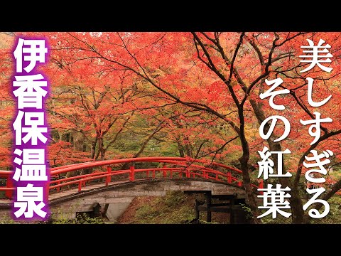 見頃を迎えた伊香保温泉の紅葉 2024.11.14/河鹿橋/石段街/伊香保神社/群馬観光旅行vlog