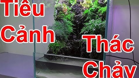 Hướng dẫn làm tiểu cảnh thác nước | AquaTerrarium Making a forest with a waterfall