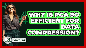 Why Is PCA So Efficient For Data Compression? - The Friendly Statistician