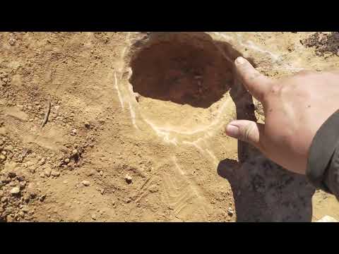 جديد كاسر الرومان ٠٠تفسير المحترف لغز الجرون