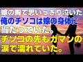 【馴れ初め】職も彼女も失いどん底にいた俺を看護師の嫁が部屋に泊めてくれると言い出した。入院生活でどん底でも俺のチソコは溜まりまくりの健康な発想をしていて…