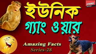 Animals Gang War Amazing Fact Series-28 Atnamus