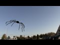 FLYING SPIDER PRANK! - Tom Mabe Halloween Pranks