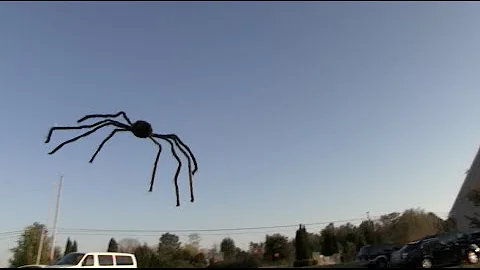 FLYING SPIDER PRANK! - Tom Mabe Halloween Pranks