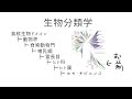 お前はどのように分類されているのか