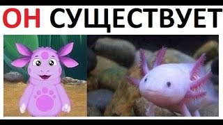 Лютые приколы. ЛУНТИК В РЕАЛЬНОЙ ЖИЗНИ