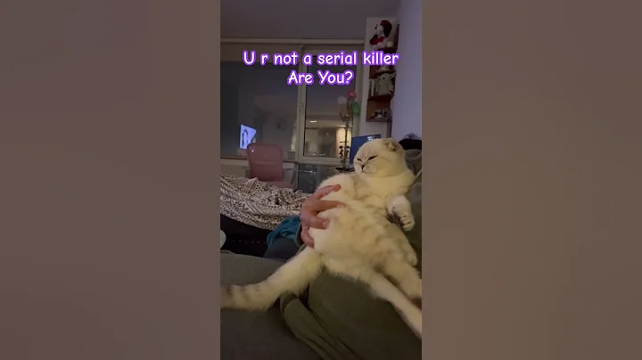 Watch the video about Is my bf Serial Killer?😩 #kikicutekitty #boyfriend #serialkiler #love #scottishfold #relatable #fyp