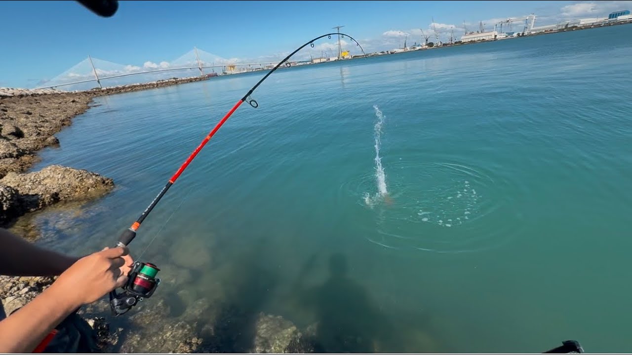 ¡CHOCO GIGANTE atrapado! Captura ÉPICA y una GRAN SUELTA