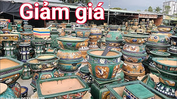 (MS-12) Giới thiệu Gốm Hoàng đa dạng mẫu hàng sưu tầm