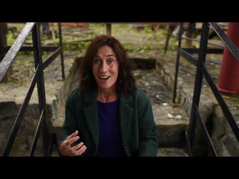 Sheila Ryder reading at the 2020 Fingal Poetry Festival - YouTube