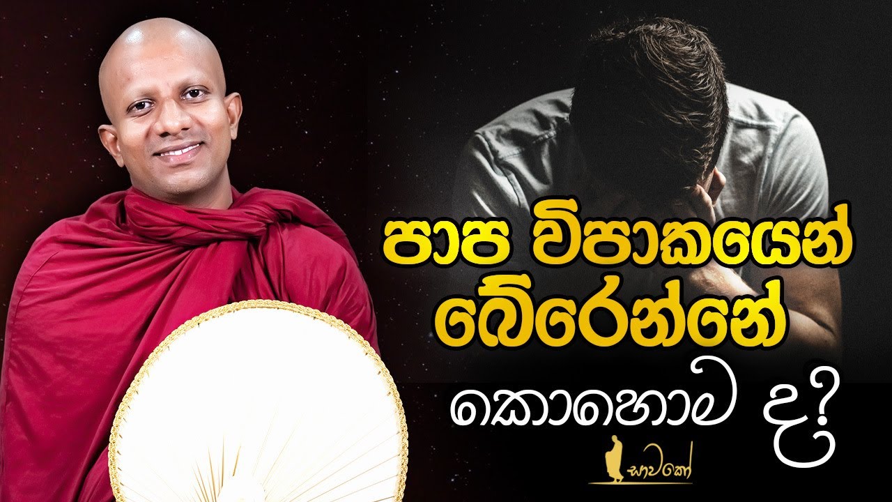 පාප විපාකයෙන් බේරෙන්නේ කොහොම ද?