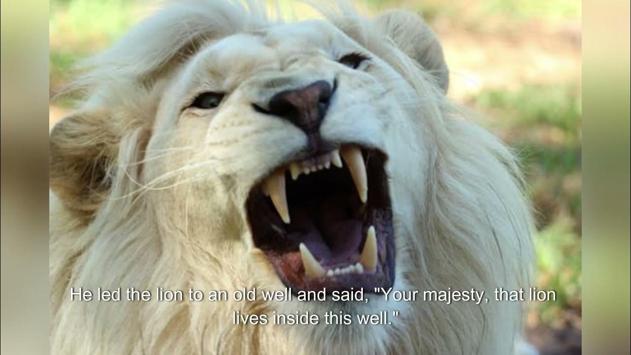 the-clever-rabbit-outsmarts-the-foolish-lion-youtube