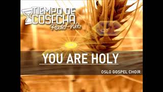 Watch Oslo Gospel Choir You Are Holy video