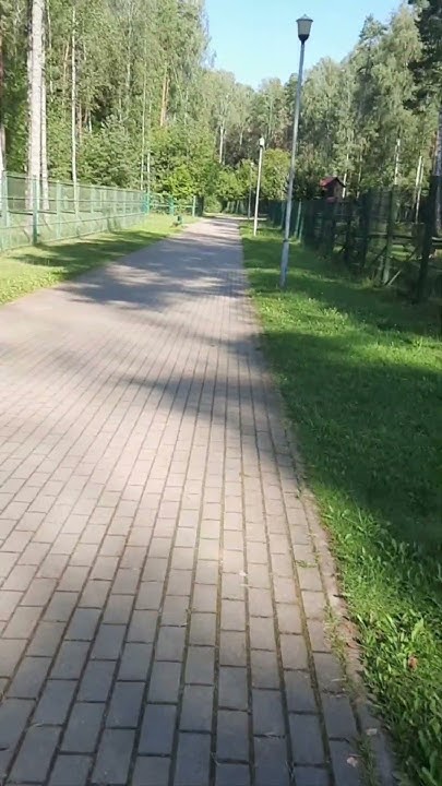 Старый Холостяк😗🤣🤣🤣 - YouTube