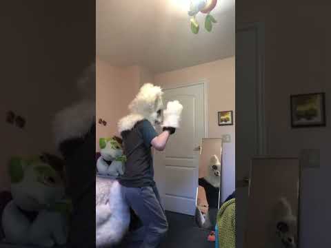 Boykisser Insanity #insanity #furry #fursuit #emote #boykisser