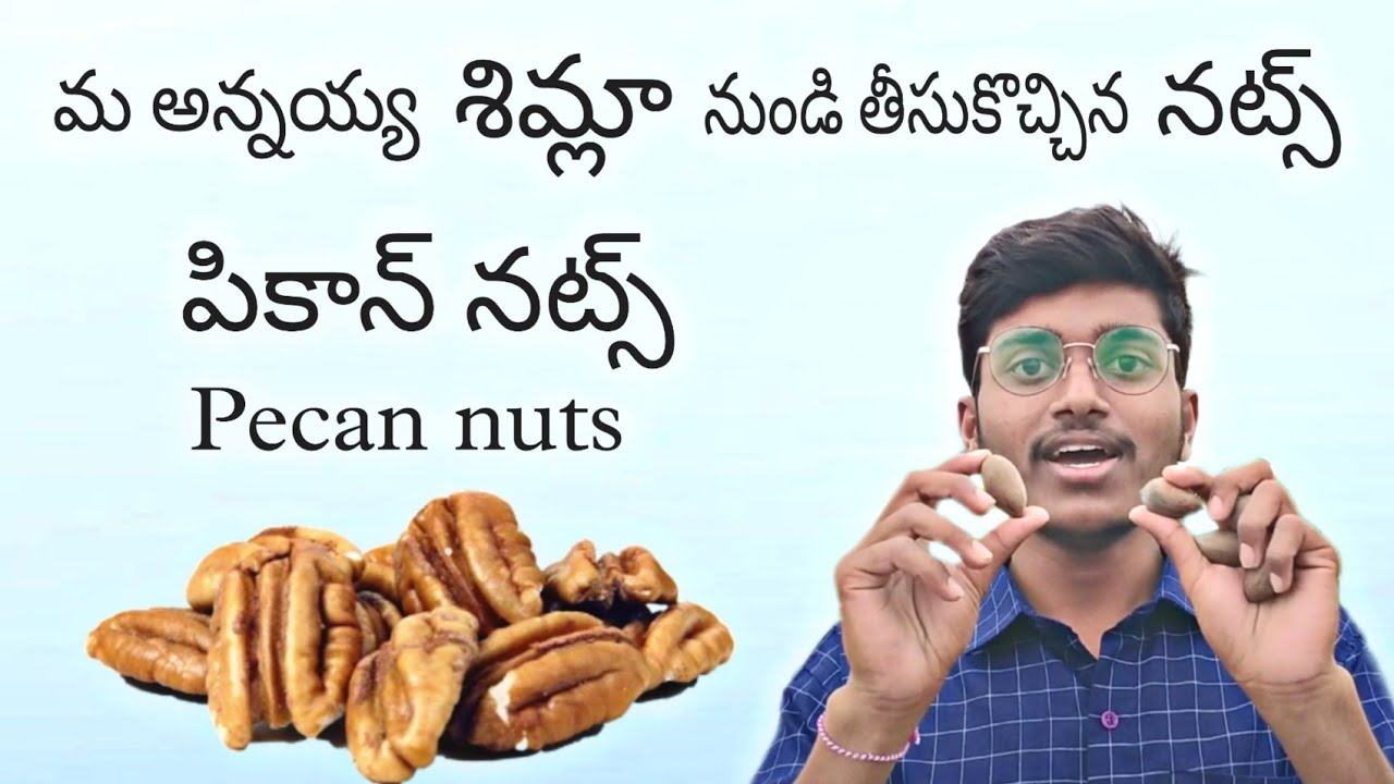 Pecan nuts health benifits in telugu పికాన్ నట్స్ తినడం వల్ల
