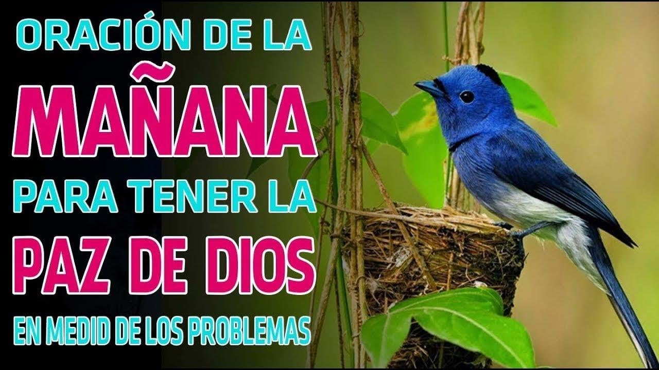 ORACION DE LA MAÑANA - PARA TENER LA PAZ DE DIOS EN MEDIO DE LOS ...