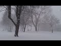 Черняховск замело снегом