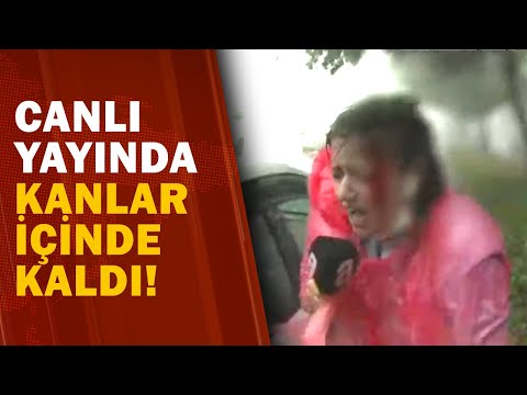 A Haber Muhabiri'nin Kafasına Canlı Yayında Ağaç Düştü! / A Haber | A Haber