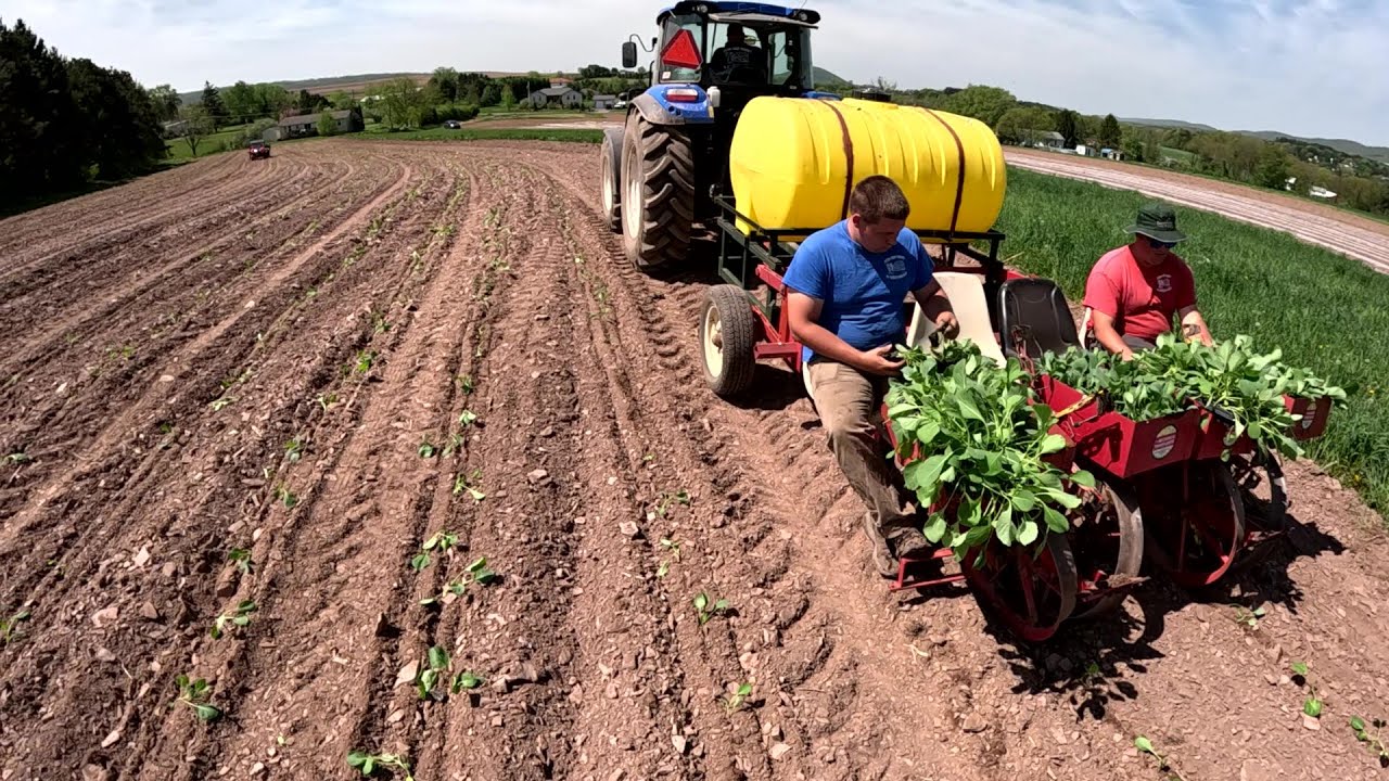 USING THIS SPECIAL PLANTER ON OUR VEGETABLE FARM