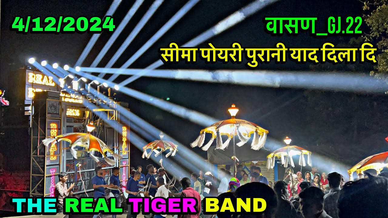 सीमापोयरी आदिवासी तिमली || THE REAL TIGER 🐯 BAND 4/12/2024