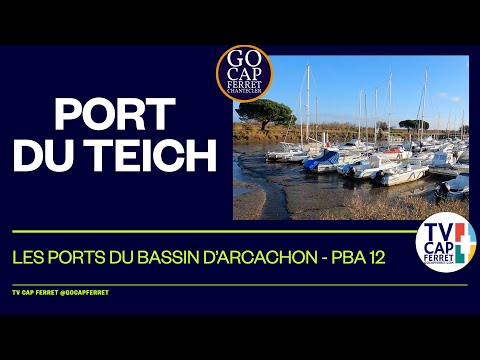 Port du Teich