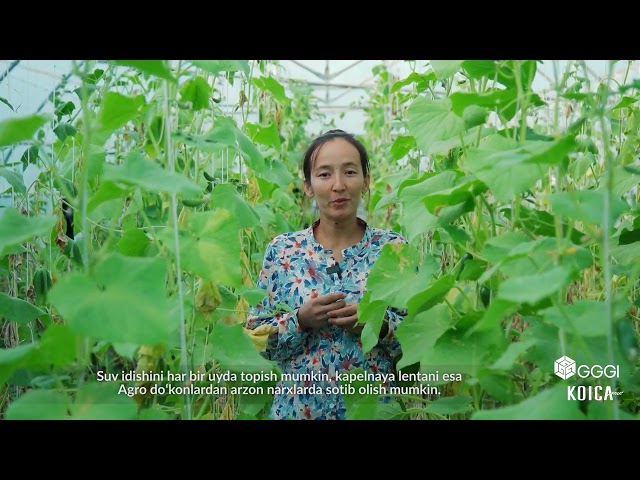 . Tomchilatib sug'orish | Тамшылатып суўғарыў