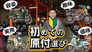 Select by Budget and Type] Choosing Your First Moped - YouTube