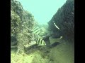 Underwater videography