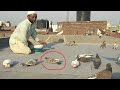 Pakistani Ghangra Pakda Bahut Hosiyar Tha 2 Baar Nikala Pr Fr Bhi Pakad Lia