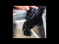 KBL Hair Review ( washing)