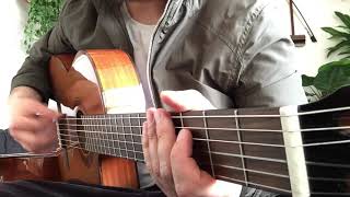 Shamisen Tuning Guitar