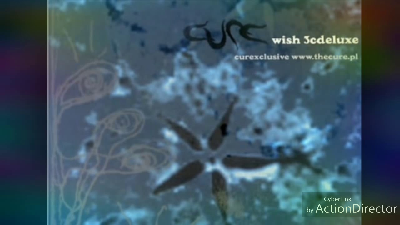 The Cure- Wendy Time Demo 1992