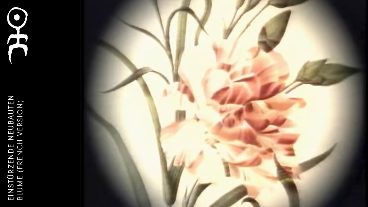 YouTube player