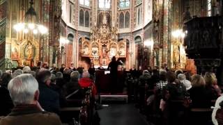 To Night Tine Grieg Viig