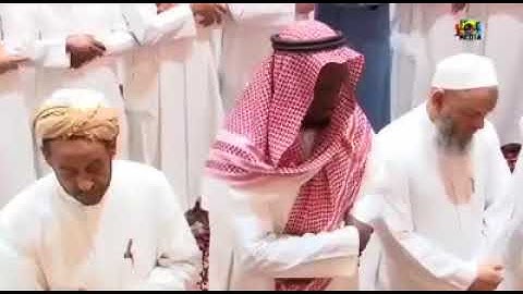 وَهِيَ تَجْرِي بِهِمْ فِي مَوْجٍ كَالْجِبَالِ هود تلاوة مؤثرة للشيخ عادل ريان