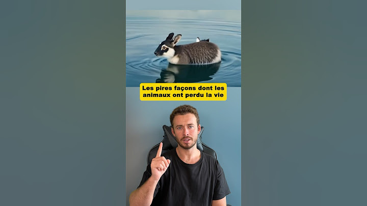 Les pires façons dont les animaux ont perdu la vie 😔